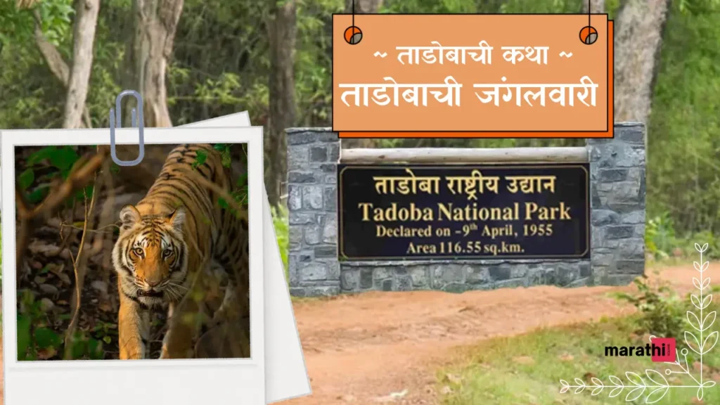 Tadoba Tiger Reserve ताडोबाची जंगलवारी