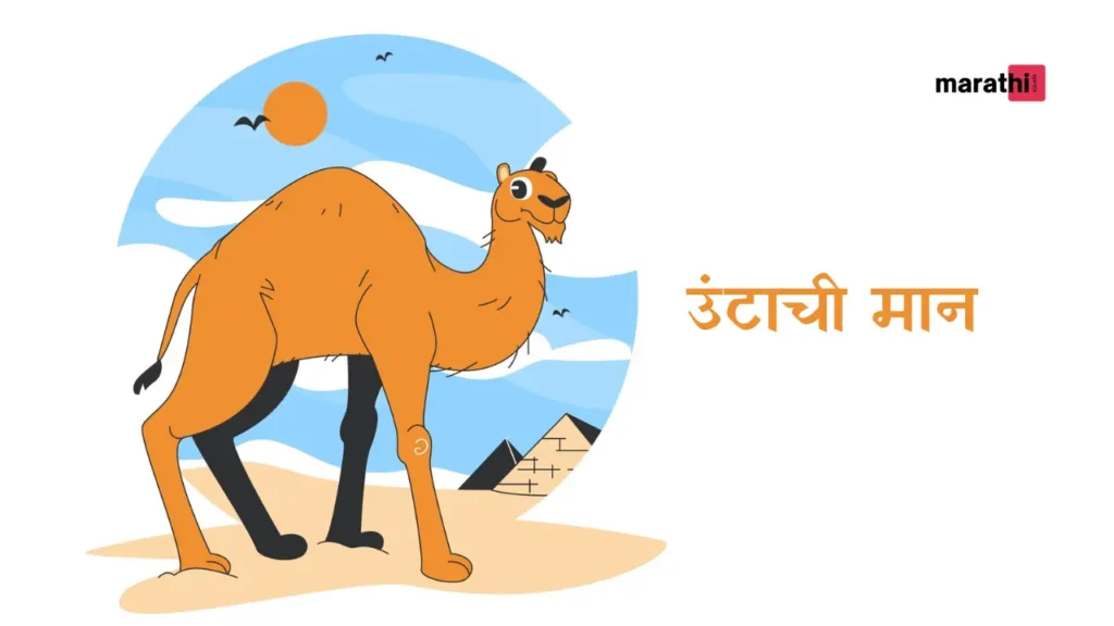 camel neck story उंटाची मान